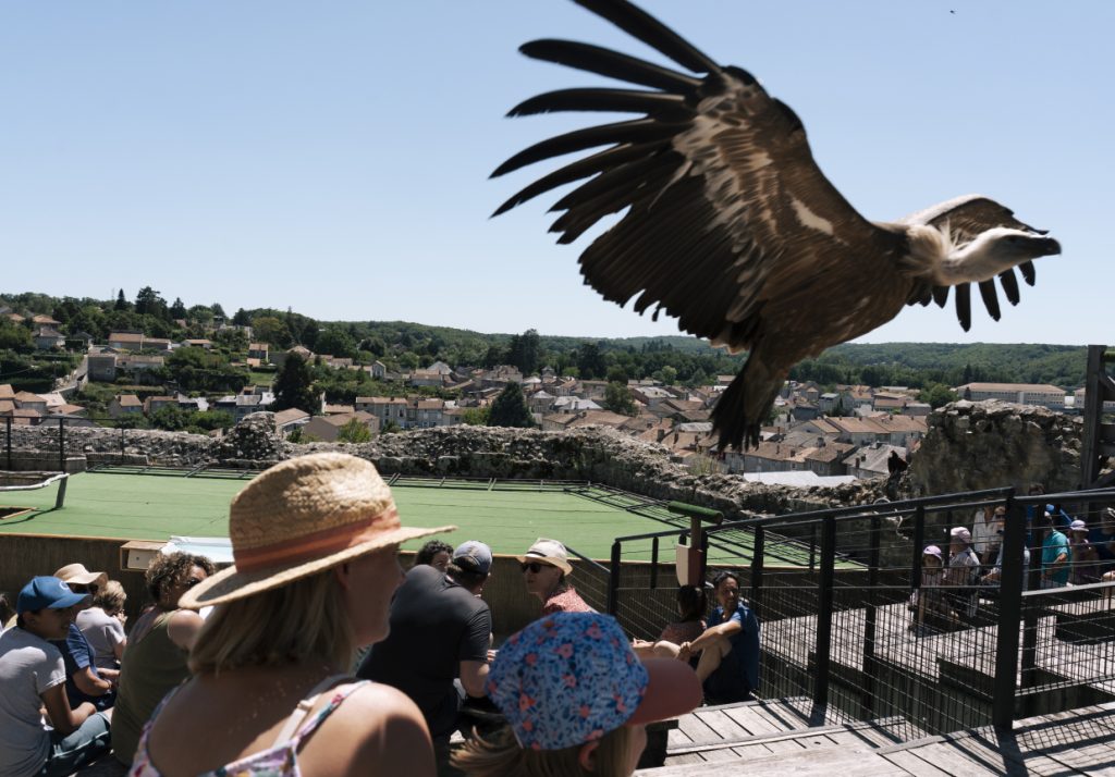 Spectacle_des_Geants_du_ciel-Nos_Coeurs_Voyageurs-13792 1